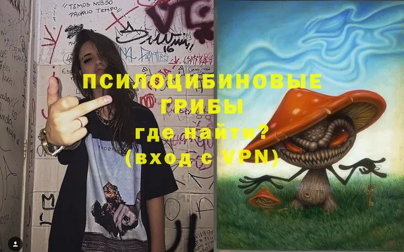 Галлюциногенные грибы GOLDEN TEACHER  omg вход  Бежецк  где продают  